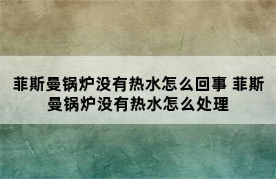 菲斯曼锅炉没有热水怎么回事 菲斯曼锅炉没有热水怎么处理